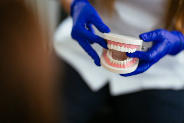 Best Cosmetic Dentistry  in Windermere, FL